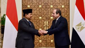 Prabowo And Egyptian President Compactly Voice Ceasefire In Palestine