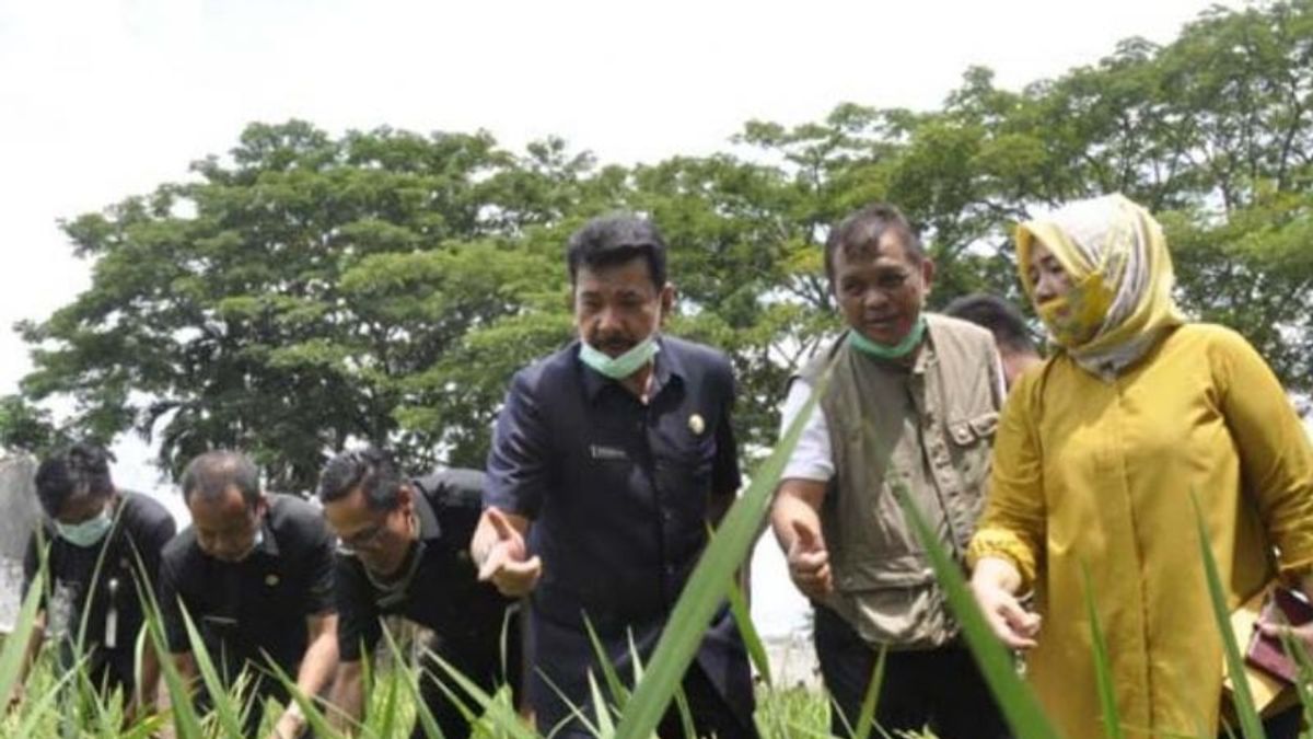 Dinsos Sumsel Memberikan Jaminan Bansos bagi Korban Bencana Alam di 17 Kabupaten/Kota
