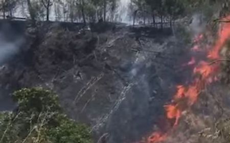 Laporan Sementara TNGR, Luas Areal Terbakar Gunung Rinjani Capai 55 Hektare