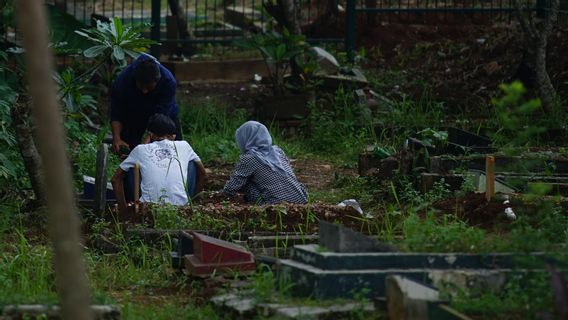 Jokowi Perintahkan Menterinya Tekan Angka Kematian Akibat COVID-19 di 8 Provinsi