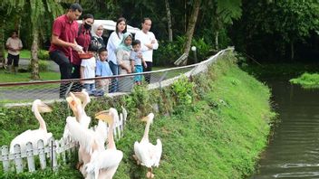 佐科威总统邀请在山地度假村的动物识别旅游孙子