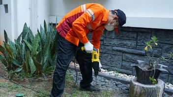 あなたの住居とビジネスのためのプロフェッショナルな害虫管理ソリューション