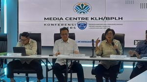 KLH Klaim 28 Perusahaan yang Izinnya Dicabut Sudah Berhenti Beroperasi