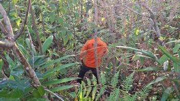 IKNフォレストでの行方不明の高齢者の捜索、SARチームは困難なメダンと悪天候に直面しています