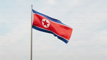 North Korea's Military Reconnaissance Satellite Fails To Launch