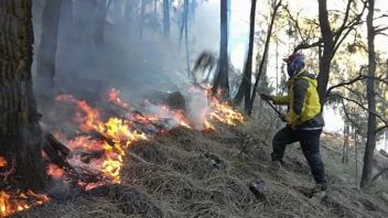 BNPB يسجل إندونيسيا تشهد 18 حادثا لحرائق الغابات والأراضي خلال الأسبوع الماضي 