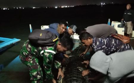 Lantamal IV Kerahkan Personel Cari dan Evakuasi Buaya Lepas dari Penangkaran Pulau Bulan