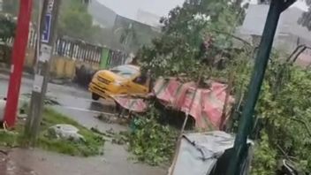 Fallen Trees Due to Rain and Strong Winds in Medan, 2 Officers Haji Adam Malik Hospital Killed