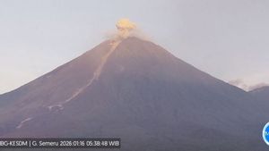Gunung Semeru Alami 23 Kali Gempa Letusan Selama Enam Jam