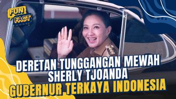 인도네시아에서 가장 부유한 주지사 인 셰르리 츠와 안다 (Sherly Tjoanda)의 차량 줄에 대한 5 가지 사실