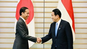 السيد جوكوي يبلغ، أحدث تعاون اقتصادي مع اليابان جاهز للإعلان عنه في قمة مجموعة العشرين