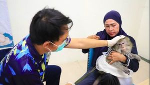 DKP Tangerang Beri Vaksinasi Rabies Gratis hingga 15 Agustus 2025