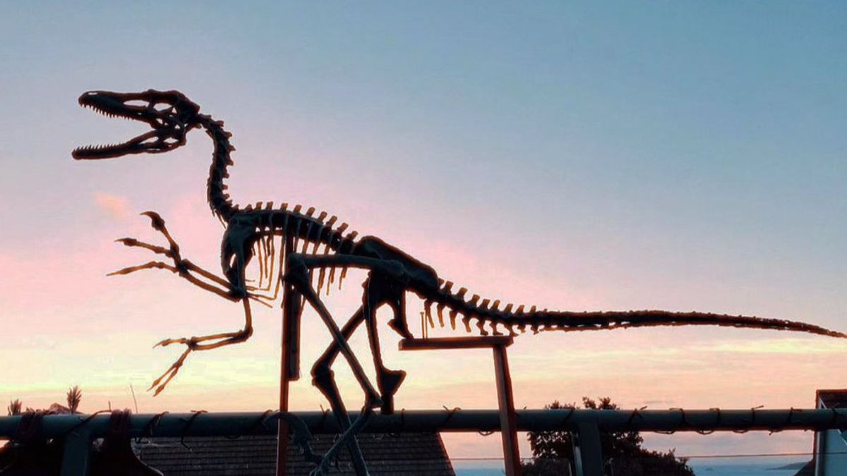 The 150 Million Year Old Giant Dinosaur Framework Sold For IDR 100 Billion, Will Be Displayed At The French Museum