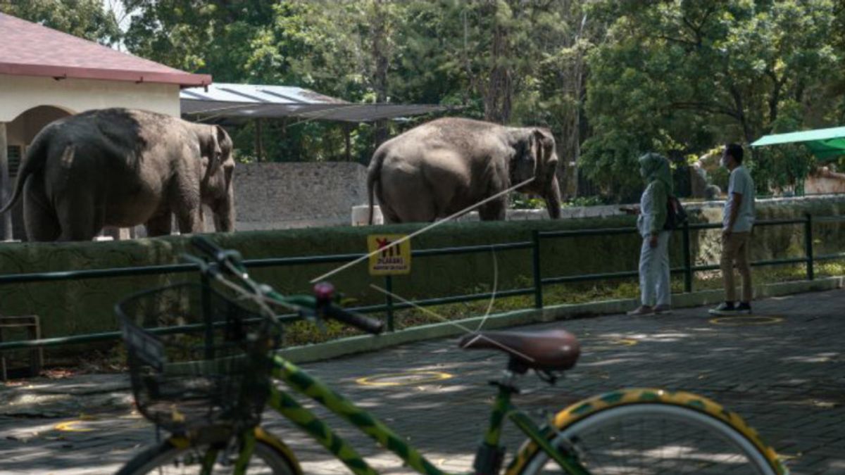 Gembira Loka Zoo Rejects Hundreds Of Visitors In A Day Because Of Children Under 12