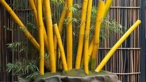 10 Ide Dekorasi Bambu Minimalis untuk Mempercantik Rumah