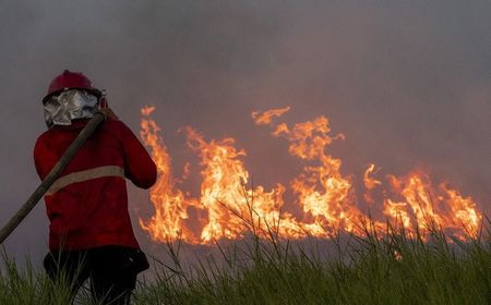 5,5 Hektare Hutan Lindung di Sumba Barat Daya Karhutla Akibat Bakar Rumput Kering di Pinggir Jalan