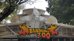 Wali Kota Bandung Farhan Digugat ke Pengadilan Terkait Kasus Bandung Zoo