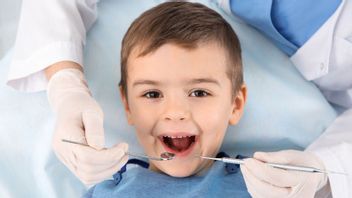 When Should Children Be Taken To Dental Doctors? Understand The Following