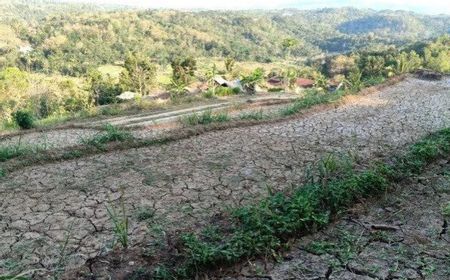 BNPB Ingatkan Waspada Kekeringan di Jawa hingga Nusa Tenggara