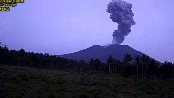 Gunung Ibu Erupsi, Muntahkan Abu Setinggi 600 Meter