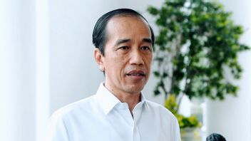 'القابضة القابضة آن' BUMN سوف تستمر، Jokowi: إذا كانت الشركة يدمج قوتها Gede