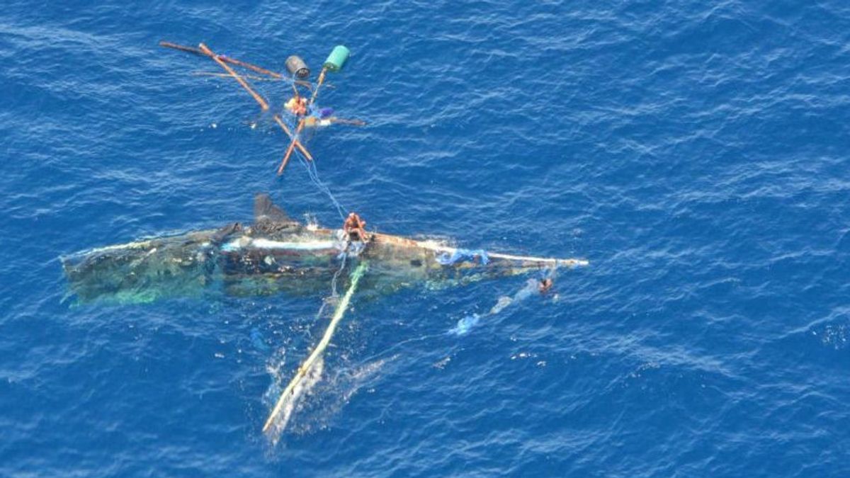 إنقاذ حطام سفينة صياد NTT إلى مستشفى في أستراليا