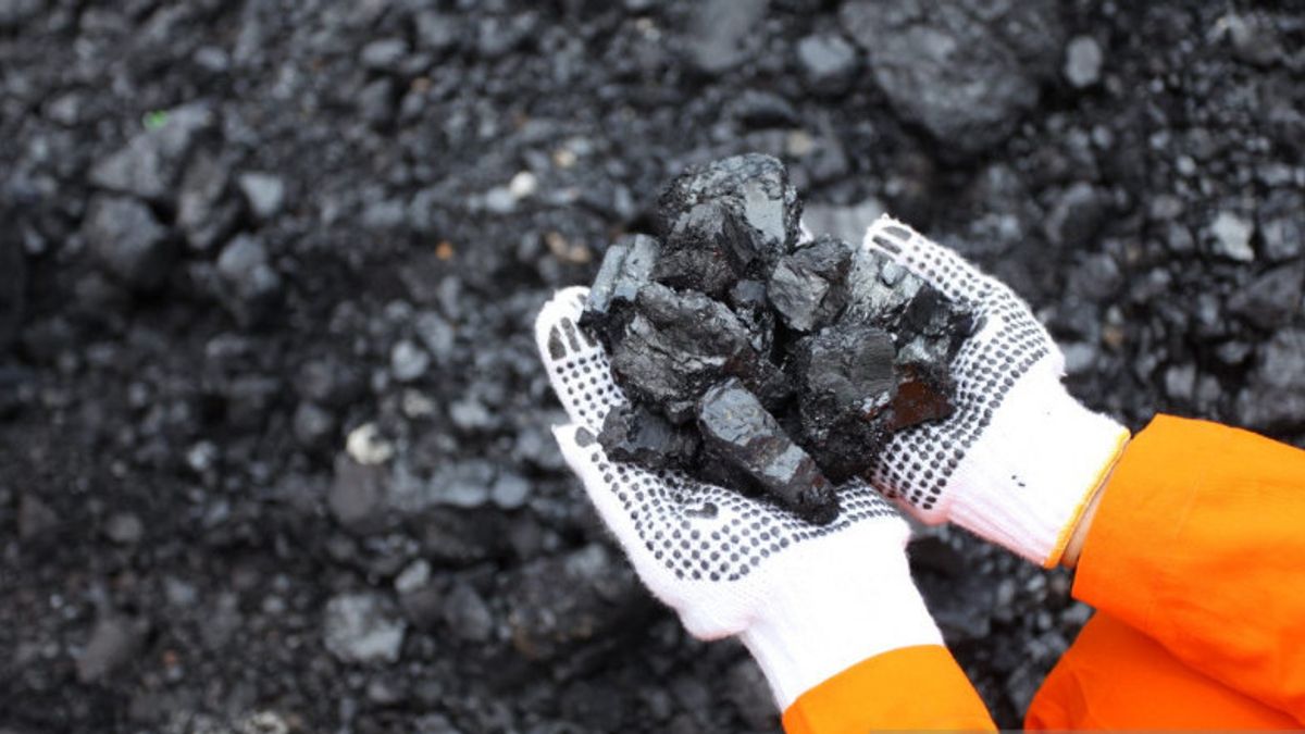 关于DMO Coal， Kadin： Inalotiable， Absolute