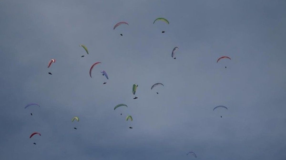    Parapente PON XX Tandem Cross-Country Entrera Dans Le Record MURI, Cible 23 Parachutes