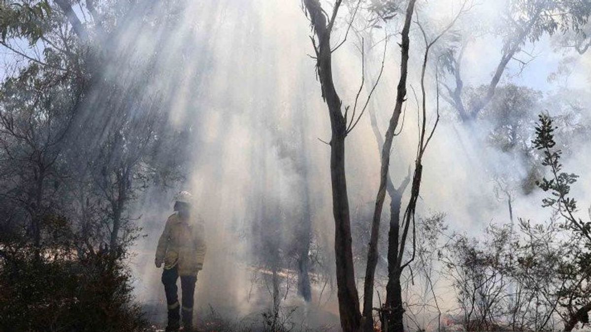 BMKG Predicts Drought In East Kalimantan Starting June 2023, All Parties Asked To Beware Of Forest And Land Fires