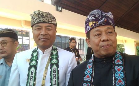 Gubernur Bali Ingin Penindakan WNA Nakal Diproses Tuntas