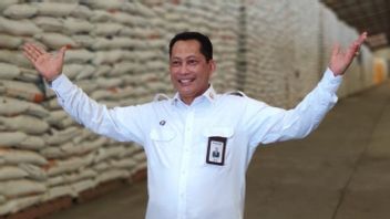 Bulog Followed By Time, Buwas Ensures Late-February Rice Imports