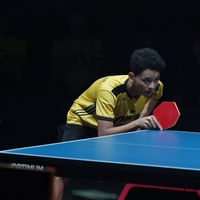 IPL Buka Kans Atlet Luar Pelatnas Tampil di SEA Games 2025