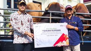 イドゥラダ1446 H、SIGは20の州で21トンの肉に相当する237匹の犠牲動物を配布します