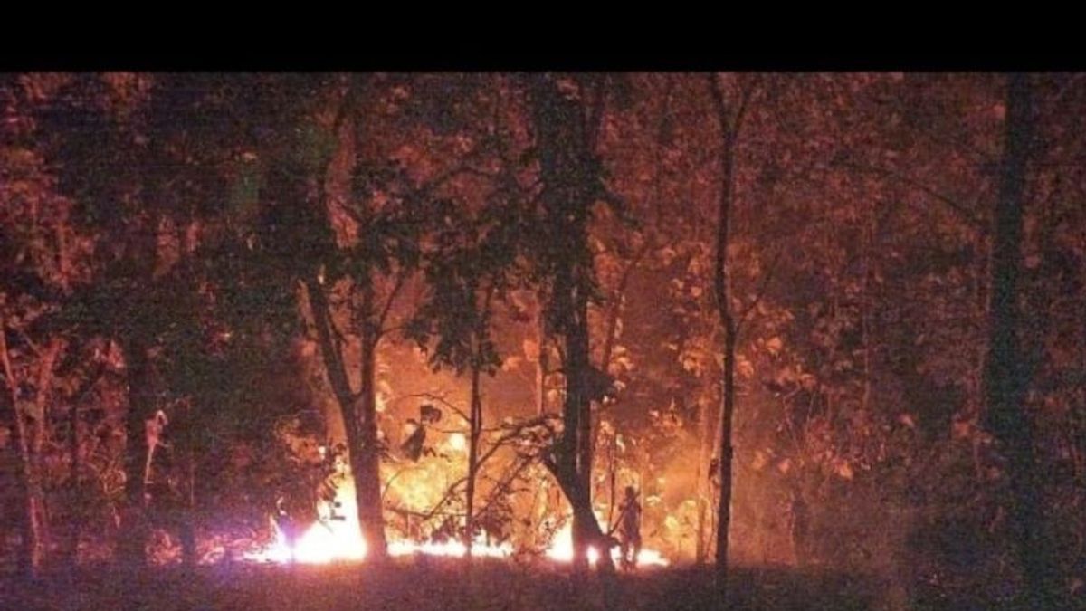 バルランシトゥボンド国立公園のチーク材の森が燃えています