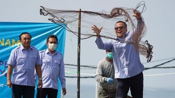 Minister Edhy Prabowo's Dream: Seizing The World Shrimp Market