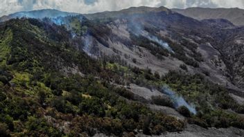 官员们仍在努力扑灭Bromo Tengger Semeru地区Mungal山的火点