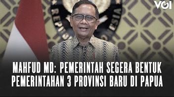 VIDEO: Government Forms Three New Provinces In Papua, Mahfud MD Says