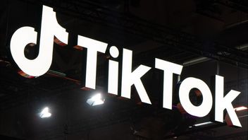 Irlandia Denda TikTok Rp9,8 Triliun karena Transfer Data ke China