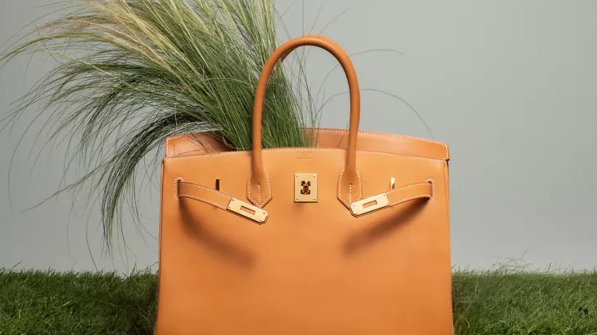 Get Acquainted With Hermes Birkin Who Is Popular Among Socialites