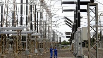 دعم تحسين أداء التصدير ، تلبي PLN احتياجات الكهرباء لشركات معالجة Porang