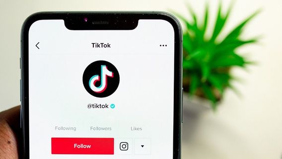 Cara Mencantumkan <i>Link Website</i> di Bio TikTok untuk Meningkatkan Pengunjung