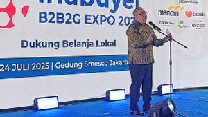 Kementerian UMKM Geram Mal di RI Sudah Jarang Jual Produk Lokal