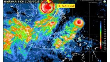 热带气旋纳尔盖远离印度尼西亚