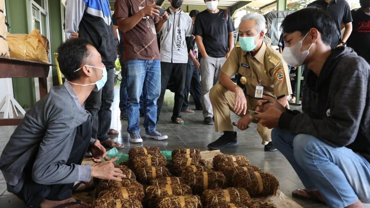 Ganjar Pranowo dan HM Al Khadziq Berharap Tembakau Petani Dibeli dengan Harga yang Pantas