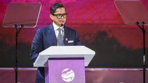 Wamenlu di Forum ASEAN: Potensi Energi Terbarukan Indonesia Tidak Hanya di Bidang Ketenagalistrikan