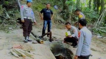 Polisi Gorontalo Hancurkan Tempat Produksi Miras Tradisional Cap Tikus