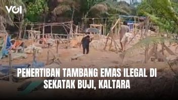 Illegal Gold Mining Order in Sekatak Buji Kaltara