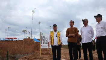 Jokowi Tinjau Pembangunan Kawasan Rumah Menteri di IKN