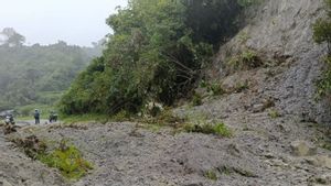 Longsor Sepanjang 20 Meter Tutup Jalan Padang-Bukittinggi, BPBD: Tidak Bisa Dilalui Kendaraan