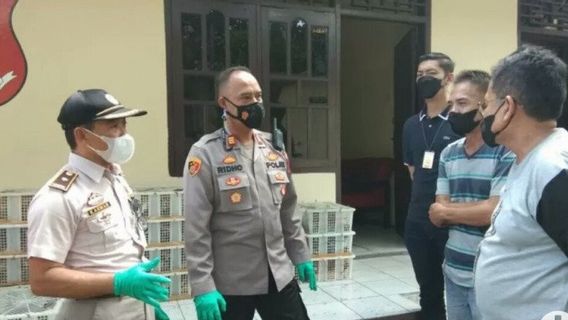 Penyelundupan 3.320 Burung Manyar, Emprit hingga Tekukur Digagalkan di Bakauheni Lampung